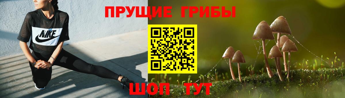 Аша  Псилоцибиновые грибы GOLDEN TEACHER  Вход с VPN 